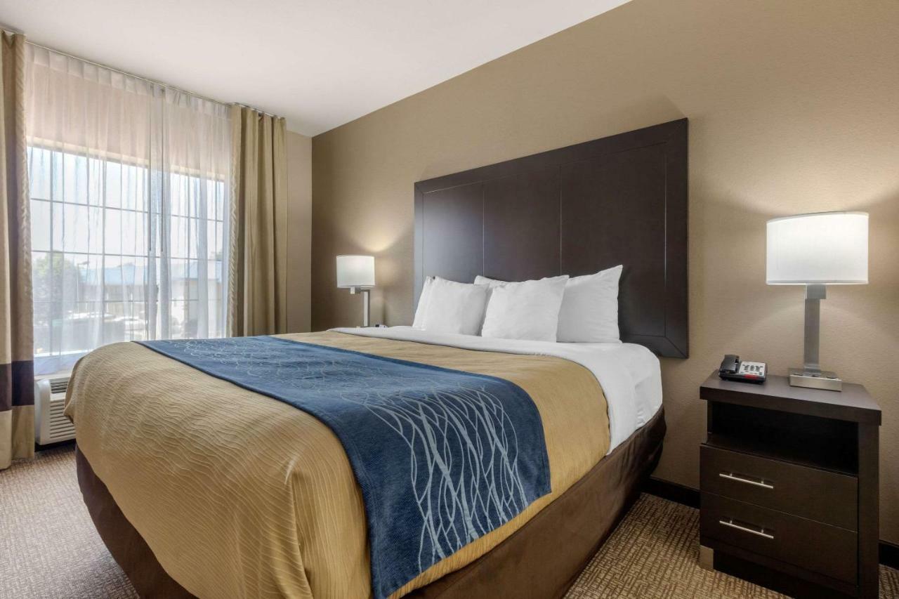 Comfort Inn & Suites North Little Rock Mccain Mall Eksteriør bilde